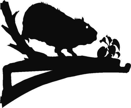 Guinea Pig Hanging Brackets