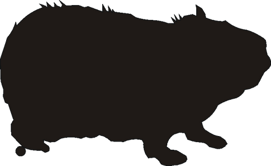 Guinea Pig Silhouettes