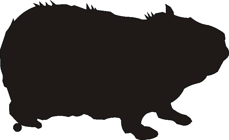 Guinea Pig Gate Plates