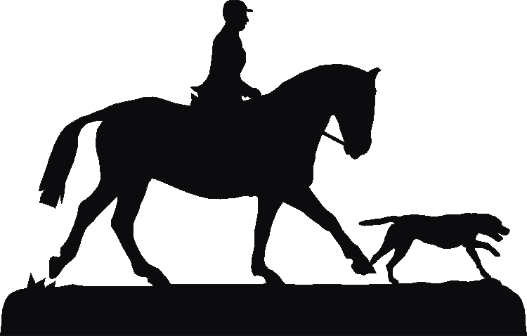 Hacking Weathervane