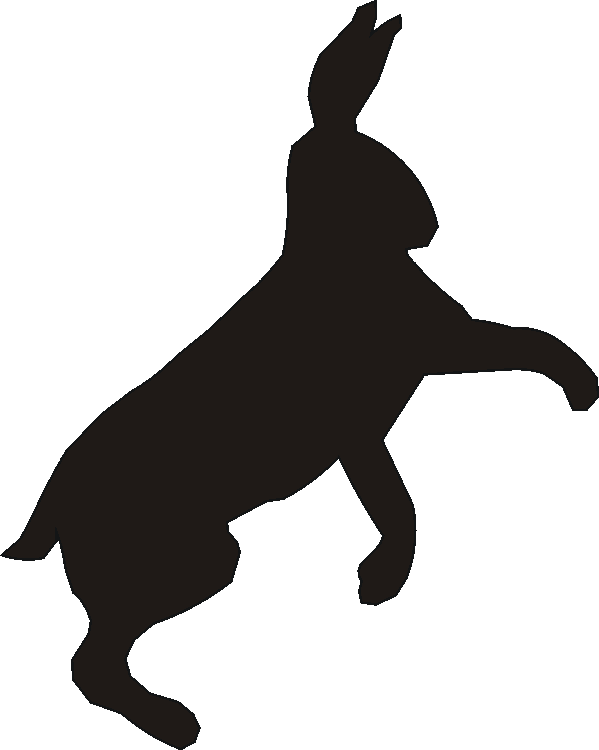 Hare Boot Pull