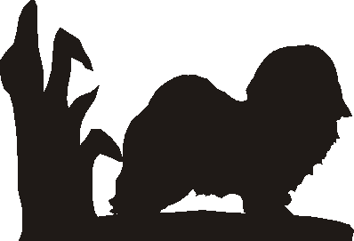 Havanese Hanging Signs