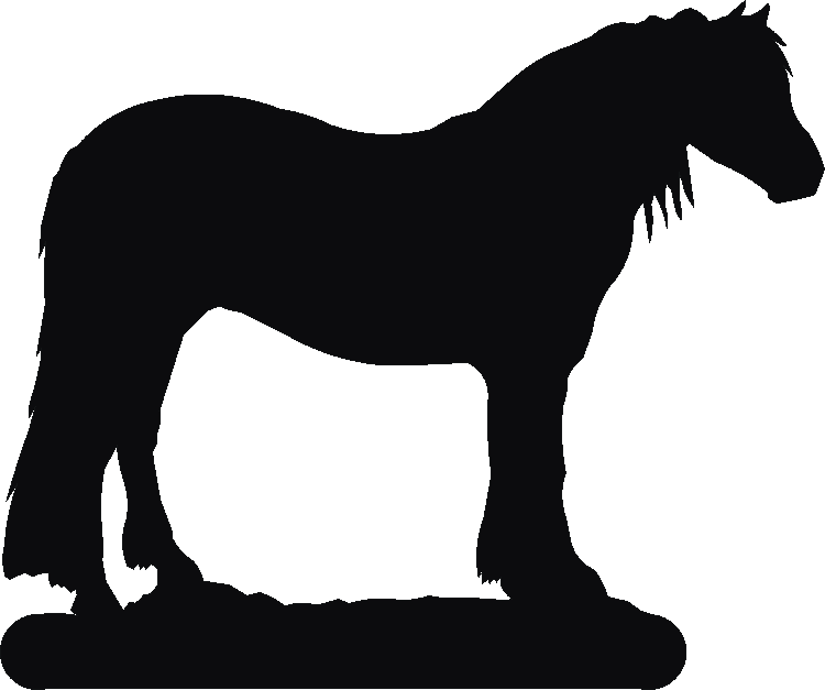 Highland Pony Book Ends
