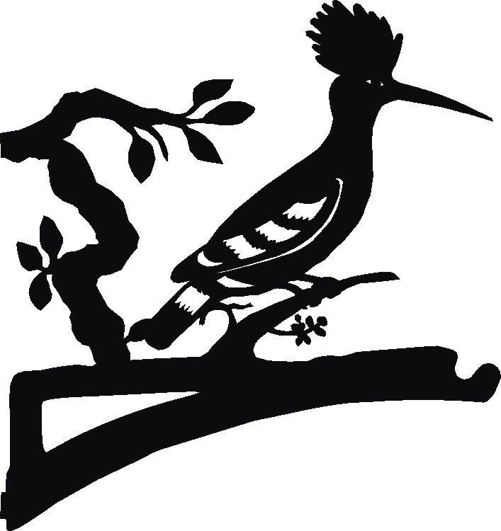 Hoopoe Hanging Brackets