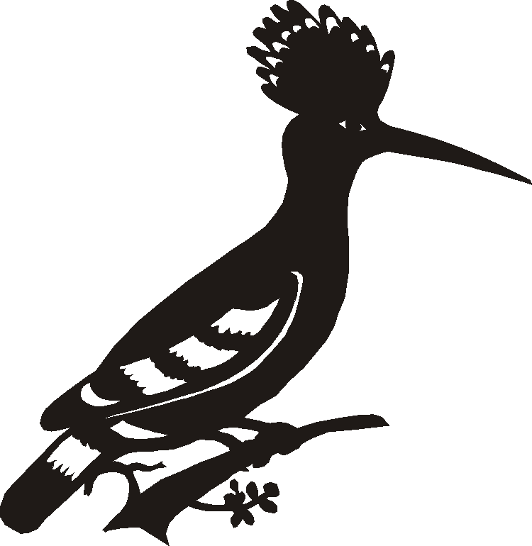 Hoopoe Silhouettes