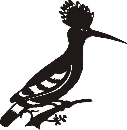 Hoopoe Silhouettes