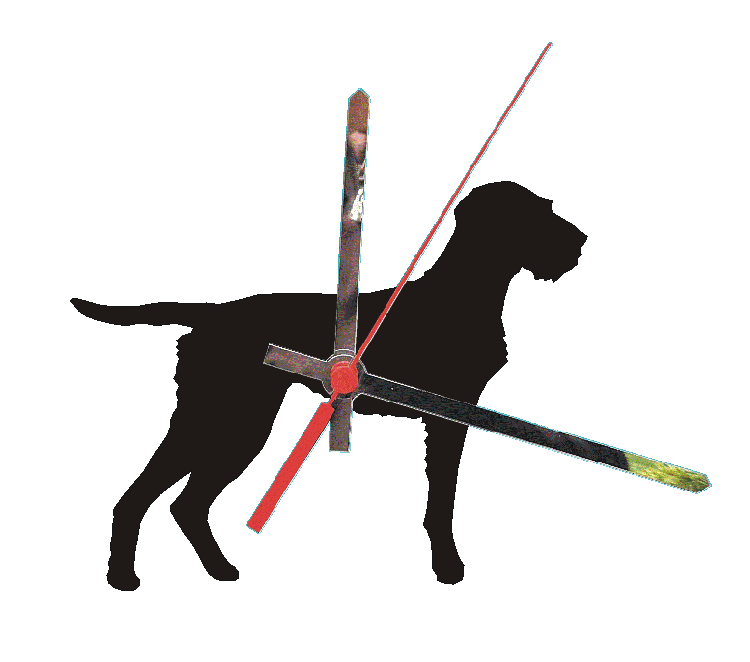 Hungarian Wire Vizsla Clocks