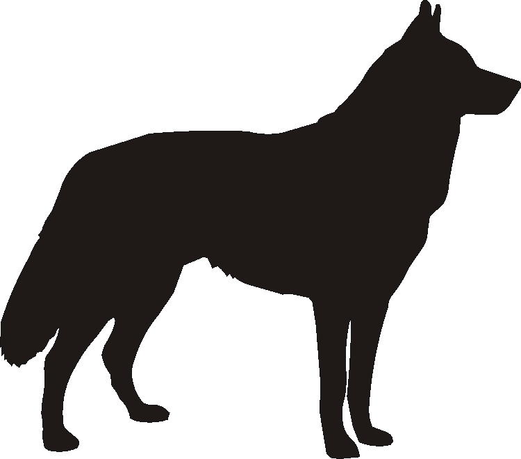 Husky Motif Baskets
