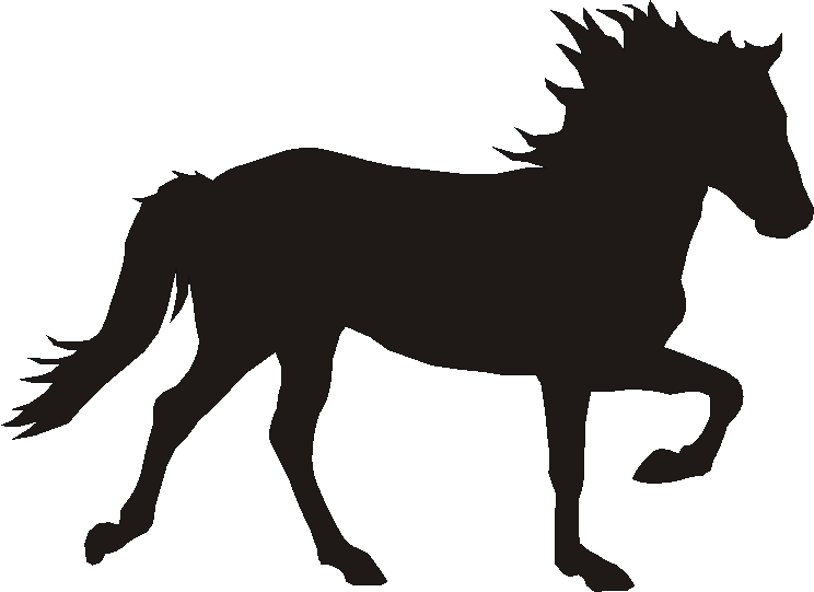 Icelandic Silhouettes