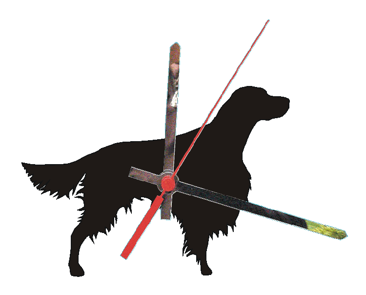 Irish Red & White Setter Clocks