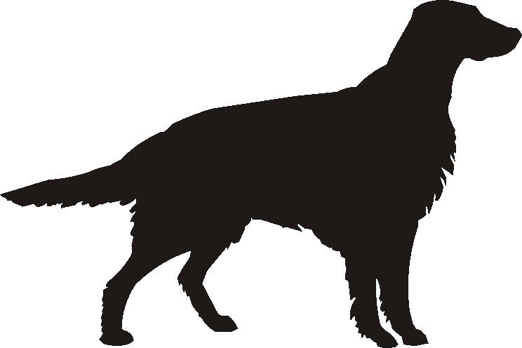 Irish Setter Motif Baskets