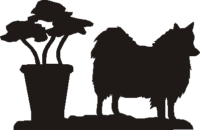 Japanese Spitz Hanging Signs