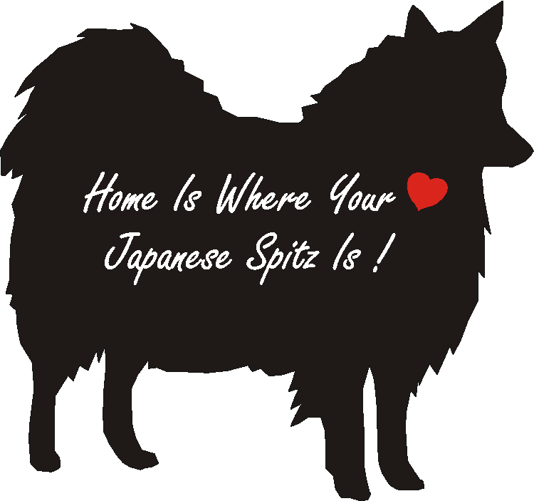 Japanese Spitz Home Is...