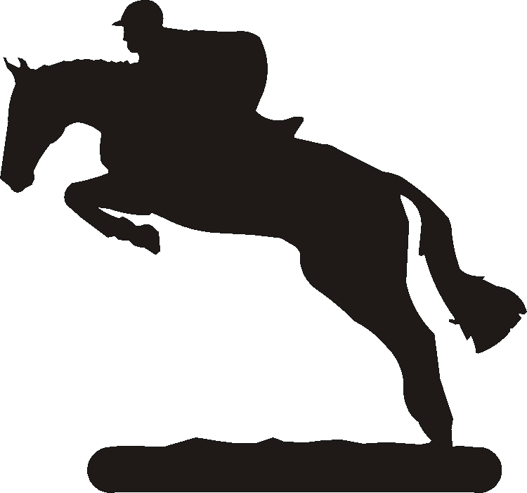 Karate Door Knocker