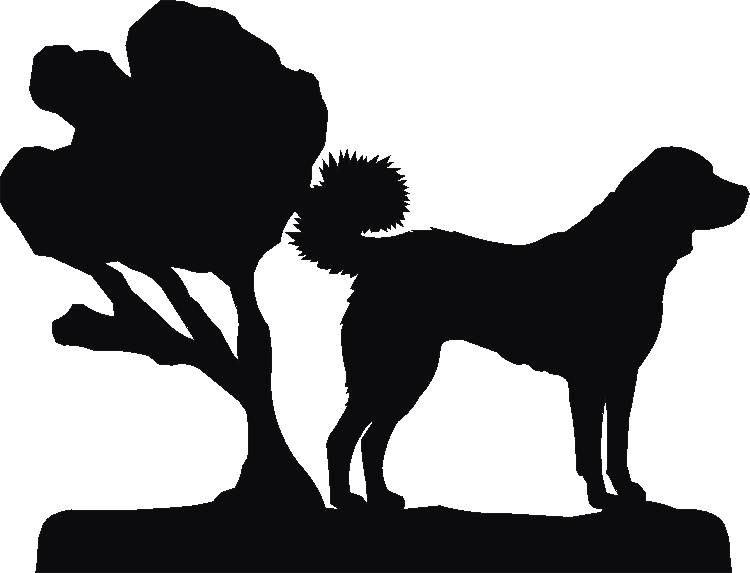 Kangal Rosette Runner