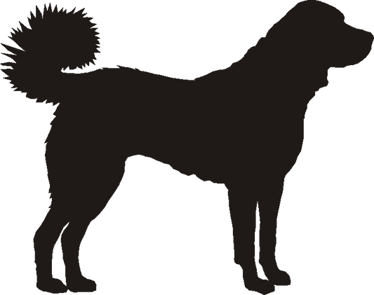 Kangal Silhouettes
