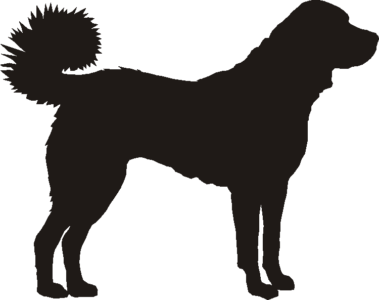 Kangal Whirlies