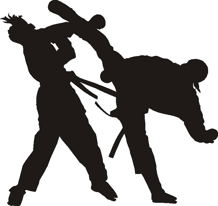 Karate Silhouettes