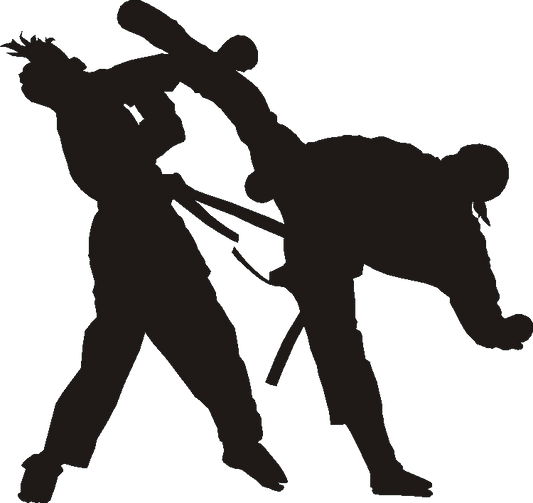Karate Silhouettes