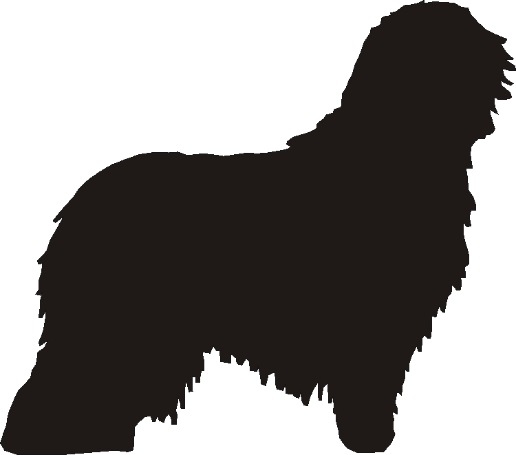 Komondor Silhouettes
