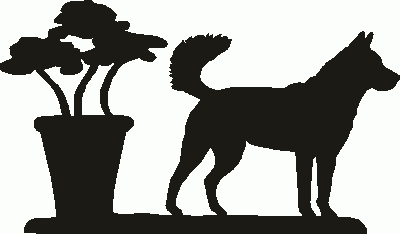 Korean Jindo Hanging Signs