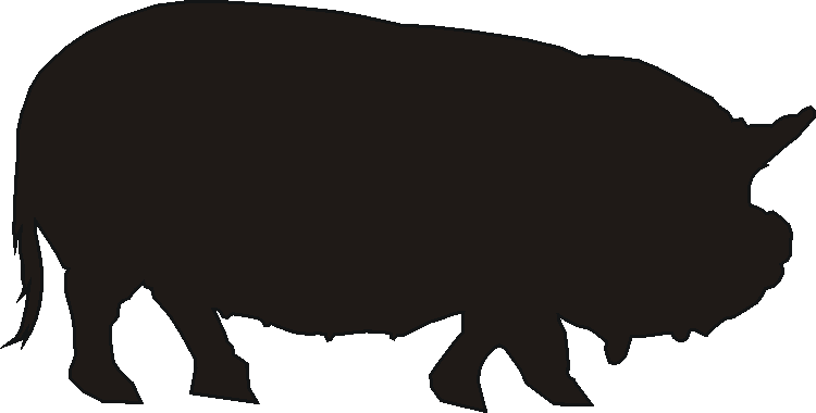 Kune Kune Wind Chimes