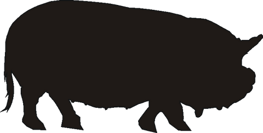 Kune Kune Silhouettes