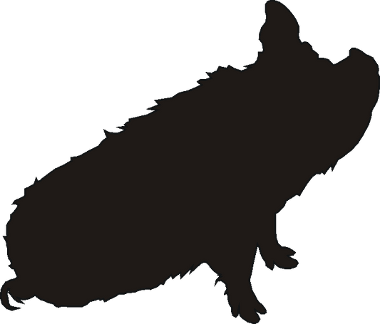 Kune Kune Sit Silhouettes