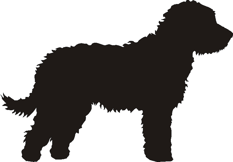 Labradoodle Motif Baskets
