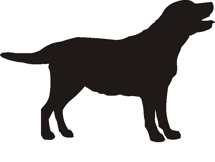 Labrador Motif Baskets