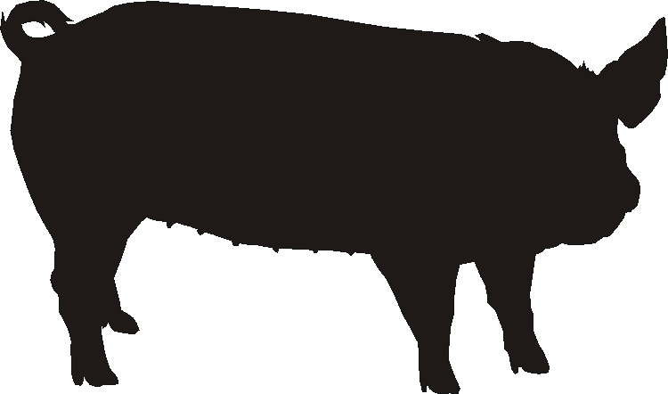 Land Race Gate Plates