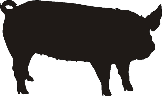 Land Race Silhouettes