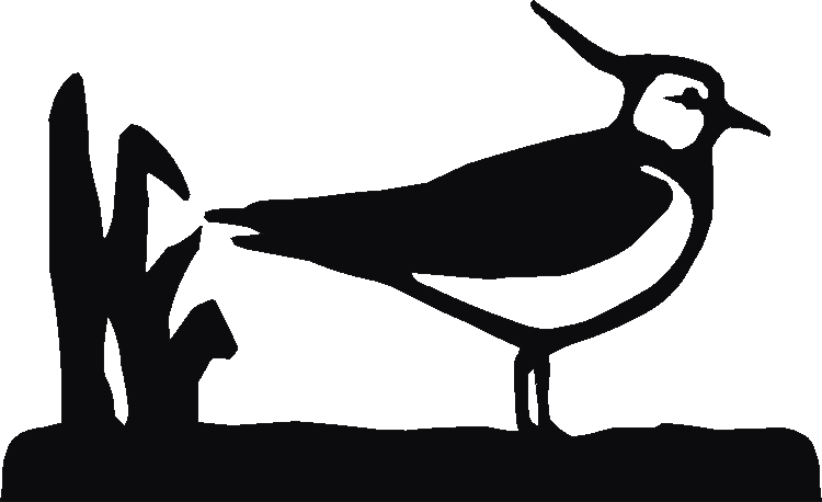 Lapwing Coat Racks