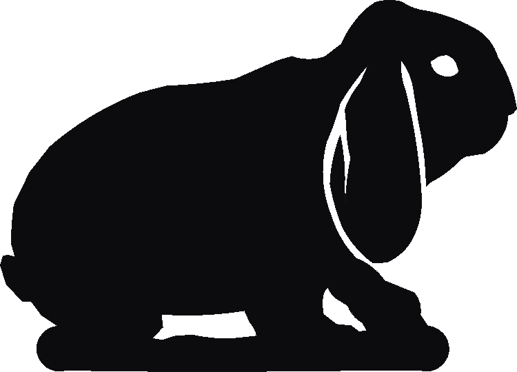Lop Rabbit Hand Stand