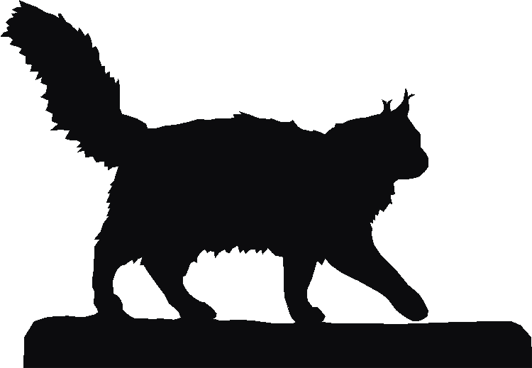 Maine Coon Medal Mate