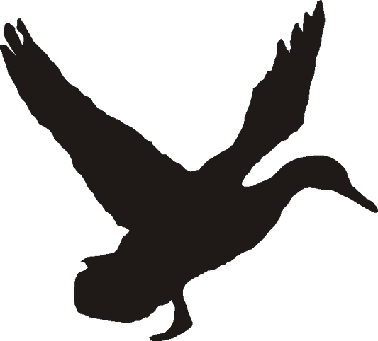 Mallard Silhouettes