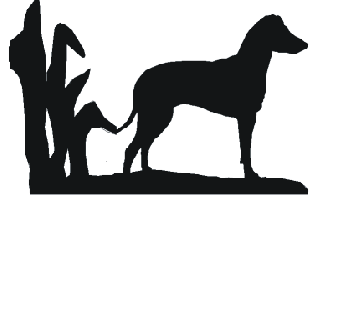 Manchester Terrier Hanging Signs