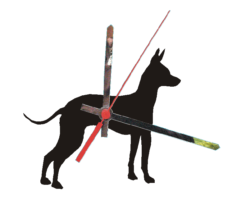 Mexican Hairless Dog Clocks