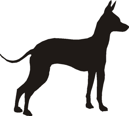 Mexican Hairless Dog Silhouettes