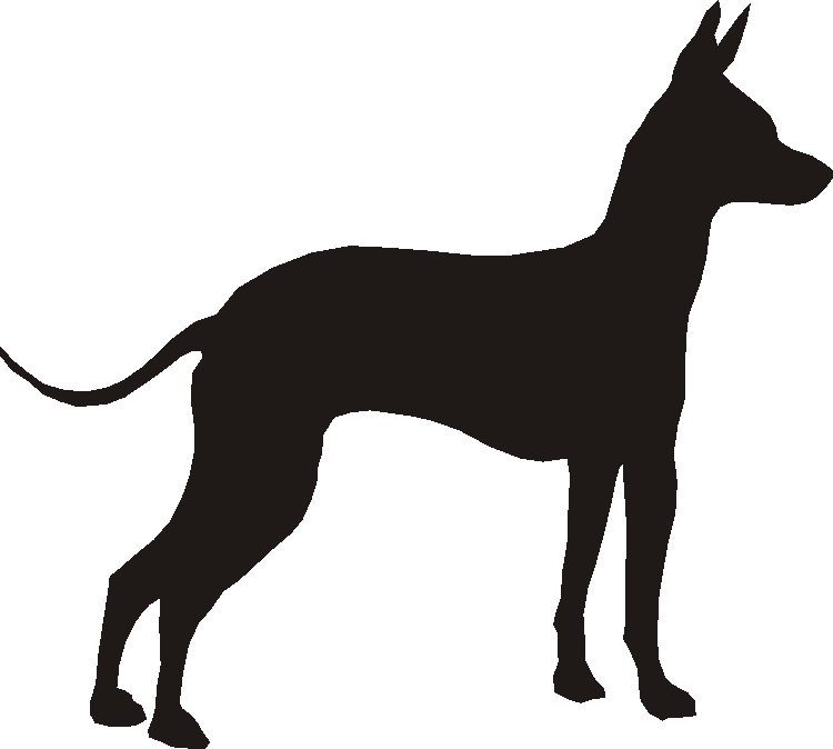 Mexican Hairless Dog Motif Baskets