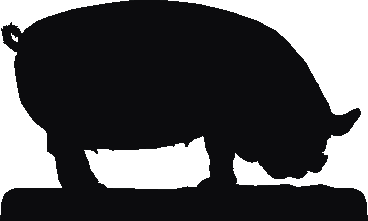 Middle White Picture Plates