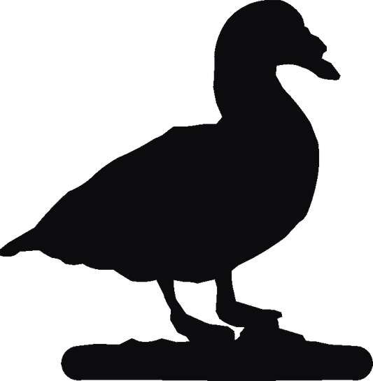Muscovy Duck Hand Stand