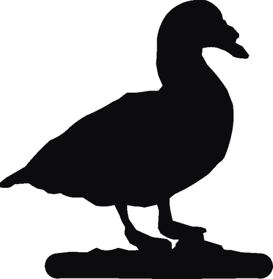 Muscovy Duck Book Ends