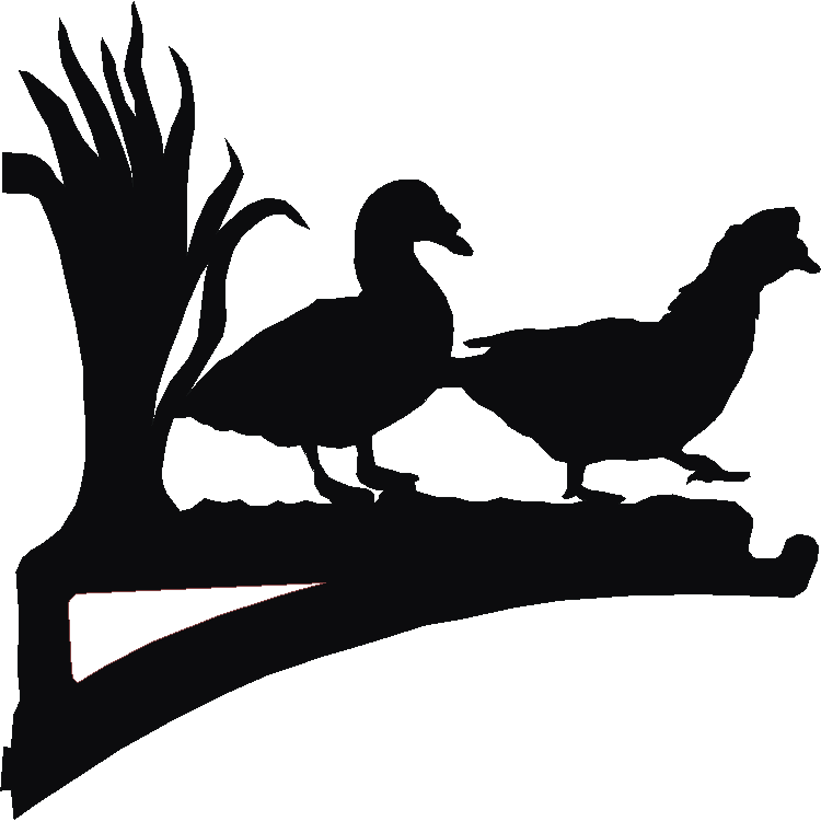 Muscovy Duck Hanging Brackets