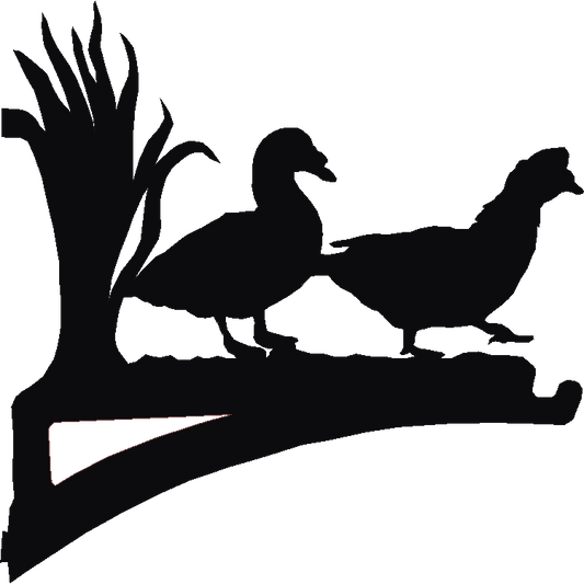 Muscovy Duck Hanging Brackets