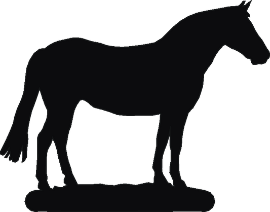 New Forest Pony Hookits