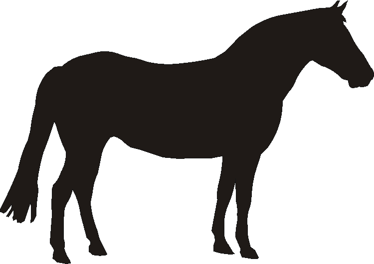 New Forest Pony Boot Pull