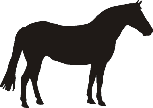 New Forest Pony Wind Chimes