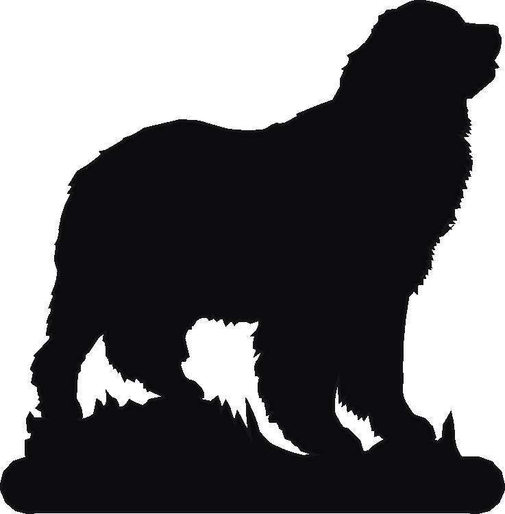 Newfoundland Book Ends