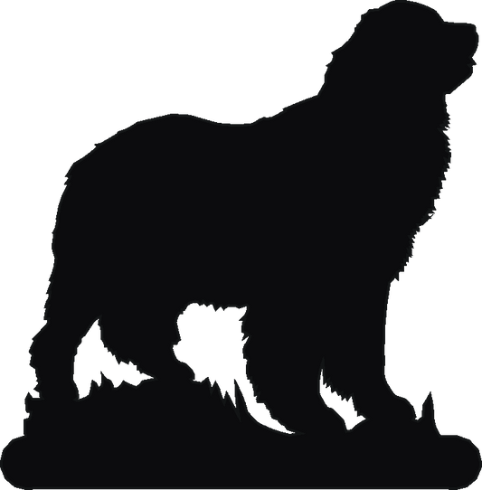 Newfoundland Phone Stand